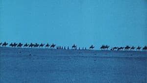 L'Atlantide — foto 12