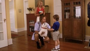 Spot — foto 6