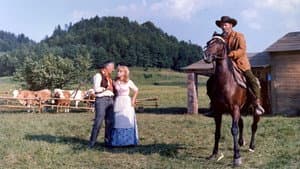 Tre dollari di piombo — foto 1