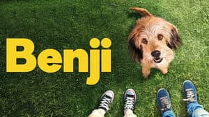 Benji — foto 6