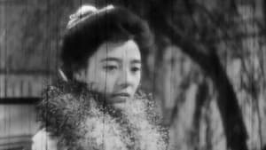 虞美人草 — foto 12