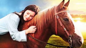Horse Camp — foto 2