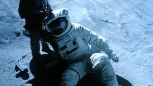 Moontrap — foto 7