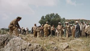 Palestina 36 — foto 7