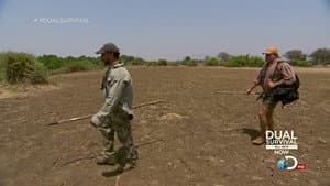 Episodio 7