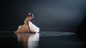 Black Swan: Metamorphosis — foto 1