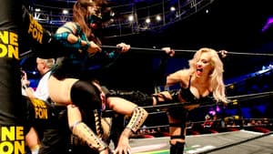 AAA Héroes Inmortales XII — foto 4