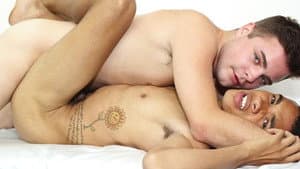 Twink and Twinkier — foto 3