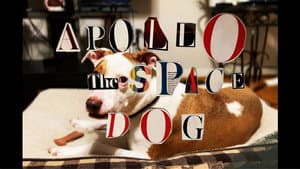 Apollo: The Space Dog — foto 1