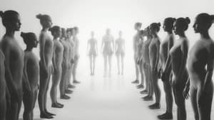Divinity — foto 12