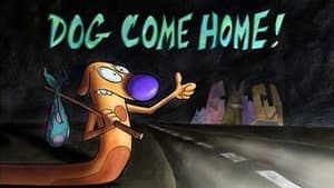 Perro, Vuelve a Casa