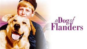 A Dog of Flanders — foto 2