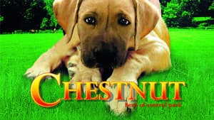 Chestnut: El héroe de Central Park — foto 6