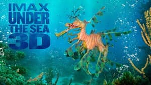 Under the Sea 3D — foto 4