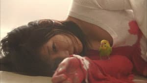 愛のむきだし — foto 10