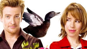 Love Birds — foto 1