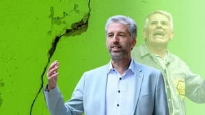 Der Palmer Komplex — foto 1