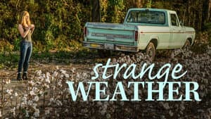 Strange Weather — foto 5