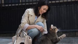 ねことじいちゃん — foto 5