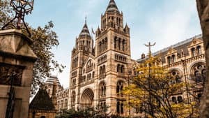 The Royal Borough: Kensington and Chelsea — foto 1