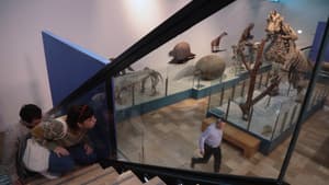 El Museo — foto 1