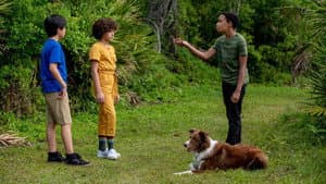 Pet Investigators — foto 1