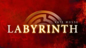 Labyrinth — foto 2