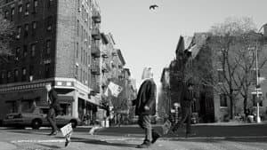 Louie — foto 10