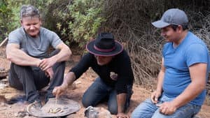 Episodio 8