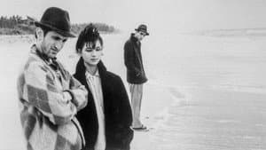 Stranger Than Paradise — foto 4