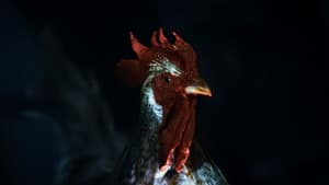 Rooster Road — foto 2