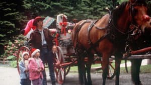 To Grandmother's House We Go — foto 6