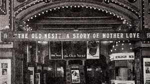 The Old Nest — foto 1