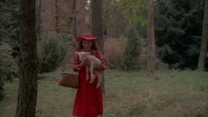 Bye bye chaperon rouge — foto 9