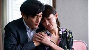 光 — foto 3
