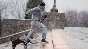 Rocky Balboa — foto 6