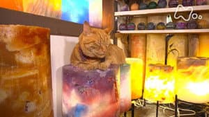 Episodio 101