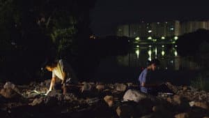 별과 모래 — foto 1