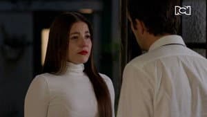 Rafael cancela el matrimonio