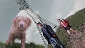 Dog — foto 1