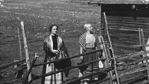 Paimen, piika ja emäntä — foto 1