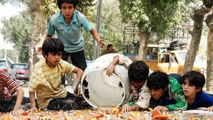 آواز گنجشک‌ها — foto 11
