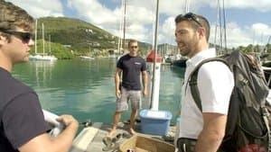 Episodio 8