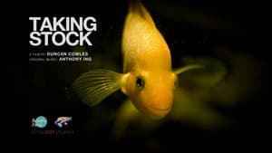 Taking Stock — foto 3