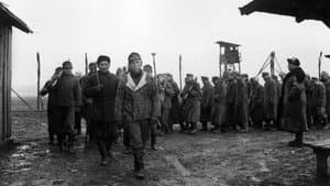 Der Arzt von Stalingrad — foto 6