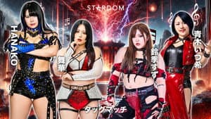 STARDOM in HAMAMATSU 2026 Apr. — foto 6
