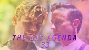 The Gay Agenda 33 — foto 1