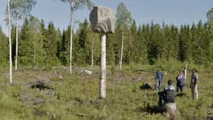 Den längsta dagen — foto 1