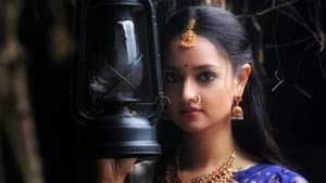 ಕಸ್ತೂರಿ ಮಹಲ್ — foto 2