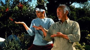 Karate Kid III: El desafío final — foto 11